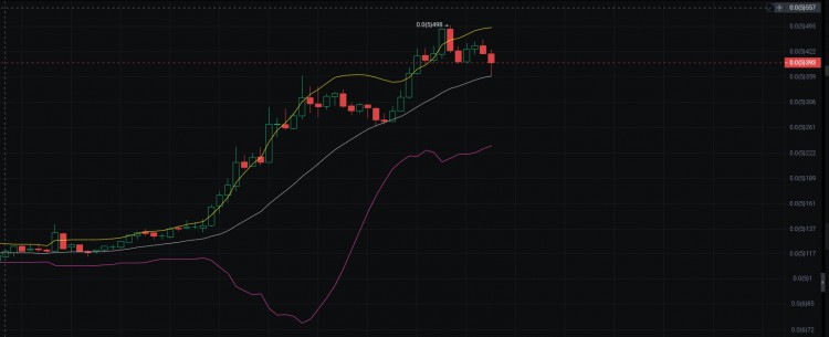 Pepe Explodes in Bull Market