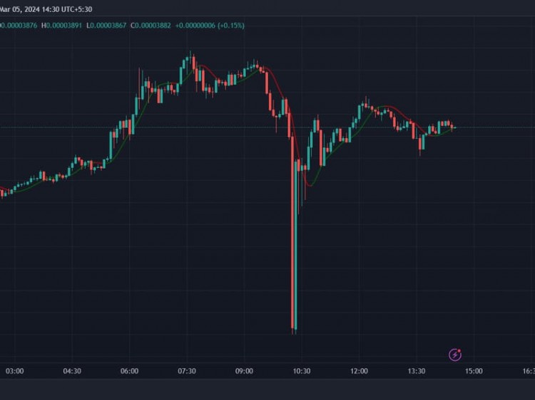COINBASE上的柴犬價(jià)格短暫下跌50