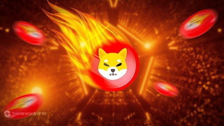 區(qū)塊鏈鯨魚操控柴犬價格