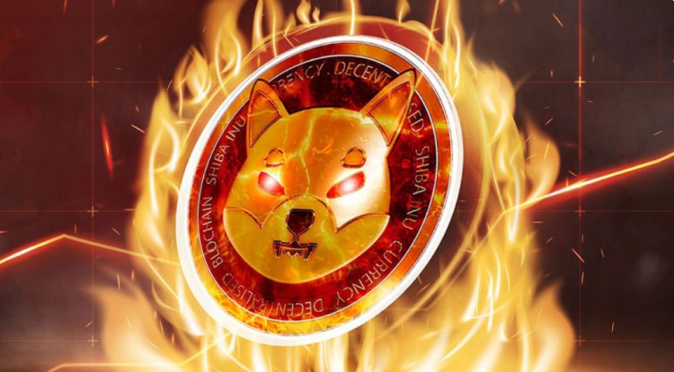 SHIBAINU177億個(gè)幣被燒毀跌幅40后大幅反彈