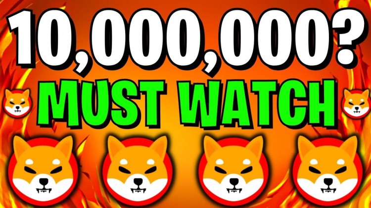 持有10000000SHIB必看SHIBA價(jià)格預(yù)測(cè)