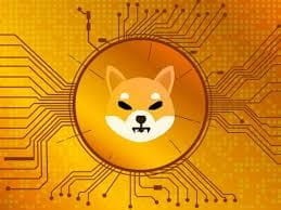 SHIBAINU重大更新引發(fā)價格猜測