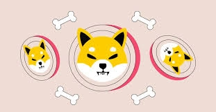 [亞伯拉罕]柴犬的柴犬館在需求增加的情況下打破了新紀(jì)錄 比特幣主義者網(wǎng)站