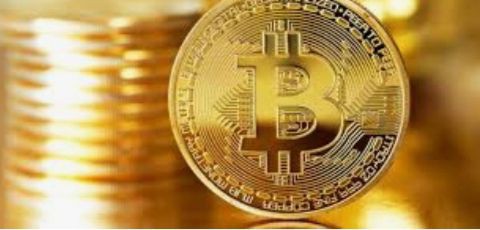 ??格林斯潘和諾沃格拉茨對這一愿望做出了反應(yīng)
