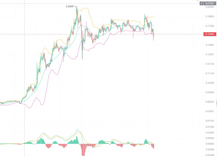 The market is recovering, these altcoins are oppor