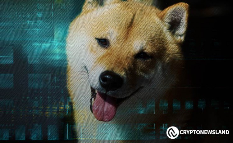 柴犬鯨魚的遷徙大型捕鯨者的激增預(yù)示著價格的變化