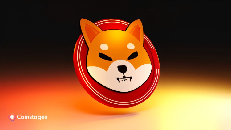Shiba Inu 與 Zama 的合作：開發(fā)商分享獨(dú)家見解