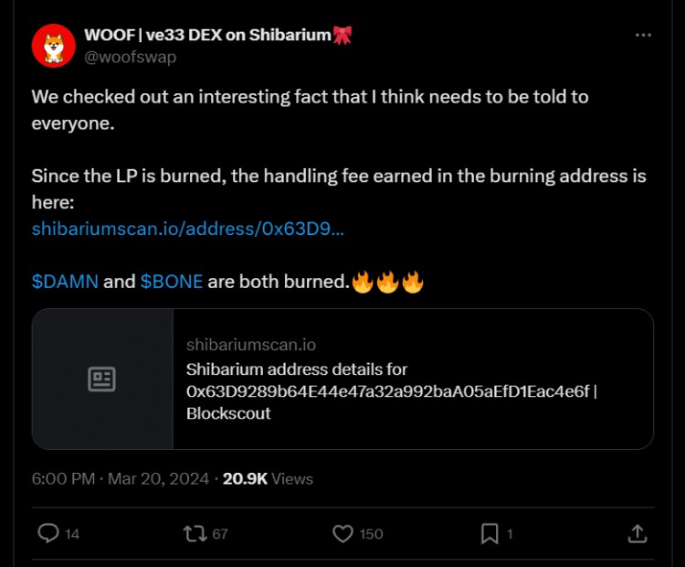 SHIBAINU與ZAMA的合作開發(fā)商分享獨家見解