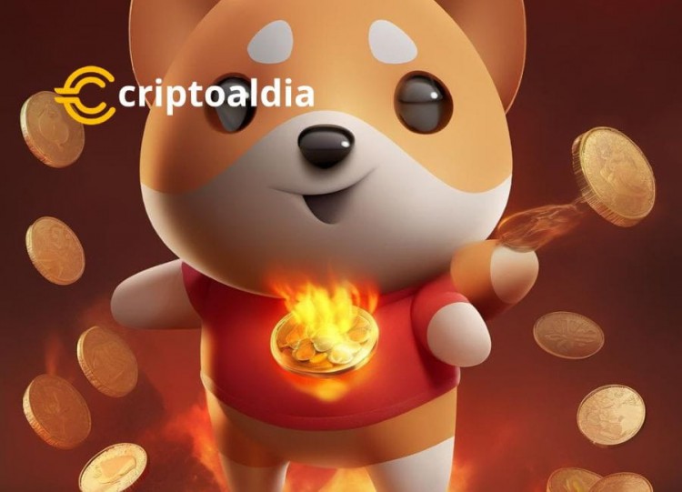 Aprovecha el Auge de Baby Doge 硬幣 (BABYDOGE)