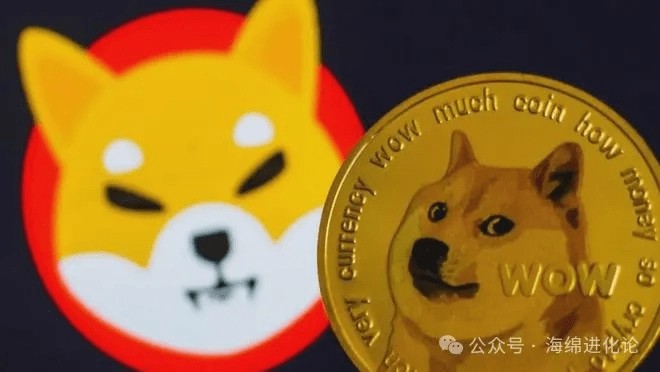 BEYONDDOGEWHOWILLDOMINATEBETWEENSHIBAINUSHIBANDDOGECOIN