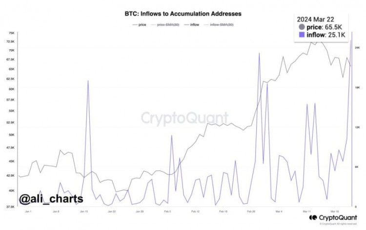 比特幣地址一天內(nèi)增加了 16 億美元的 BTC – 價格很快就會回升？