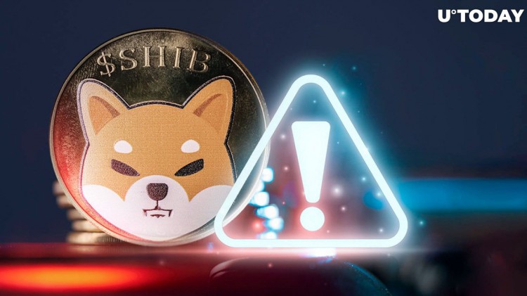 Shiba Inu 團隊成員對 SHIB 社區(qū)發(fā)出重要警告：詳細(xì)信息