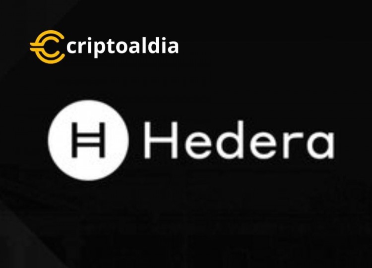 Hedera Takes to the Skies with an Incredible Incre