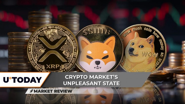 XRP正在爭(zhēng)取達(dá)到05美元的價(jià)格這對(duì)它未來(lái)的發(fā)展很重要