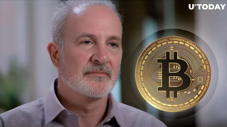 彼得·希夫預(yù)測比特幣 (BTC) 價格將跌至 20,000 美元