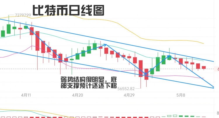 [幣圈君豪]漫步林間