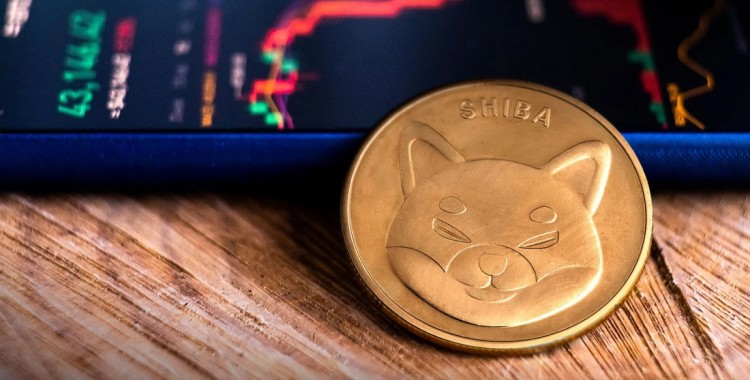 SHIBAINU是一種著名的MEMECOIN一直在挑戰(zhàn)DOGECOIN由于銷毀率飆升2