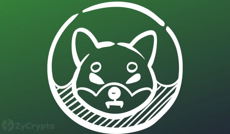 SHIB Army 的 0.01 美元價格夢想受到內(nèi)部人士調(diào)侃的推動，鏈上數(shù)據(jù)表明人們對……的興趣日