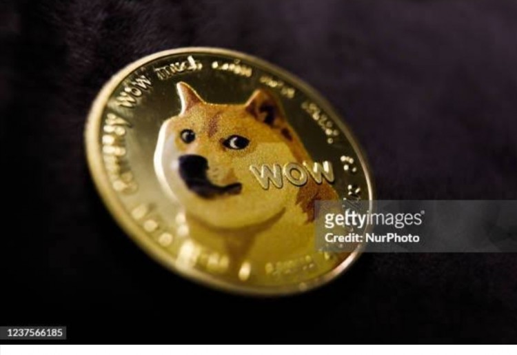 DOGE：從弱者變成數(shù)字革命 在快節(jié)奏的加密貨幣世界中
