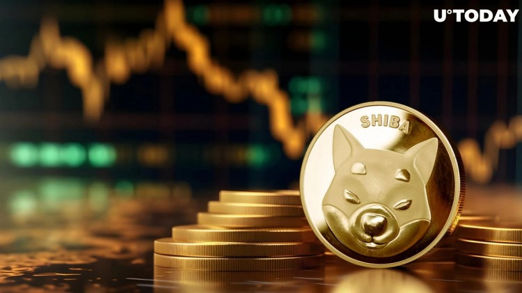 柴犬在最近的突破失敗后逐漸失去與市場的聯(lián)系