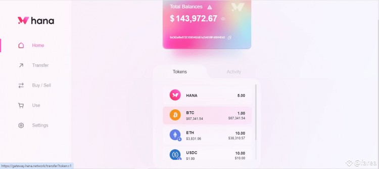 由BINANCE支持的HANANETWORK可能進行空投