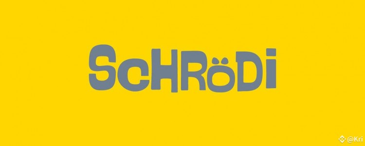 使用SCHRODI探索量子領(lǐng)域革命性的加密代幣