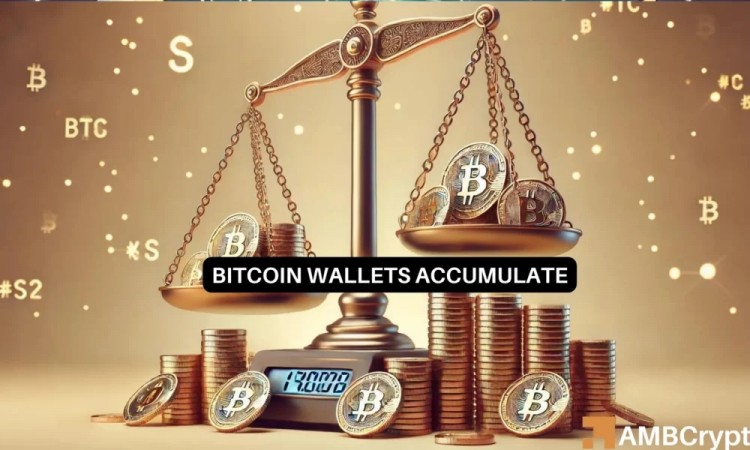 比特幣鯨魚大量入場而BTC仍保持在66000美元