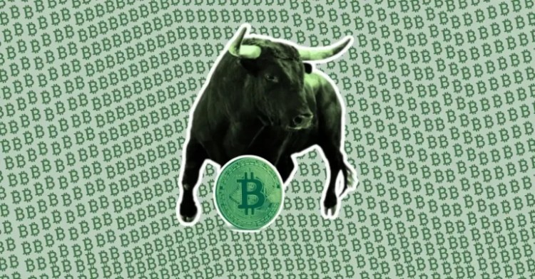 BTC價(jià)格分析這是比特幣牛市的時(shí)間表