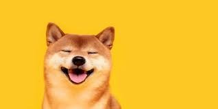 **柴犬 (SHIB)：從表情包幣到加密貨幣競(jìng)爭(zhēng)者**