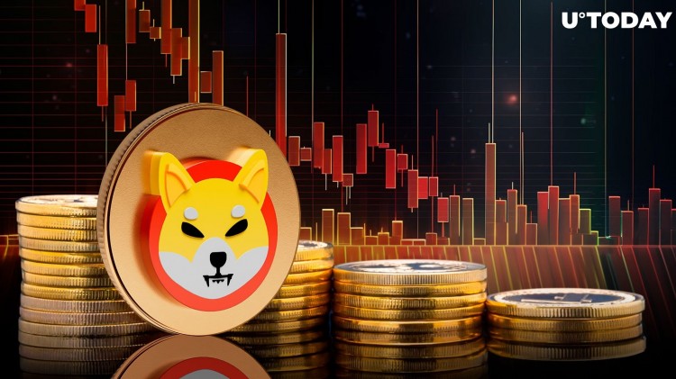 ## 柴犬：不只是玩笑的表情包幣