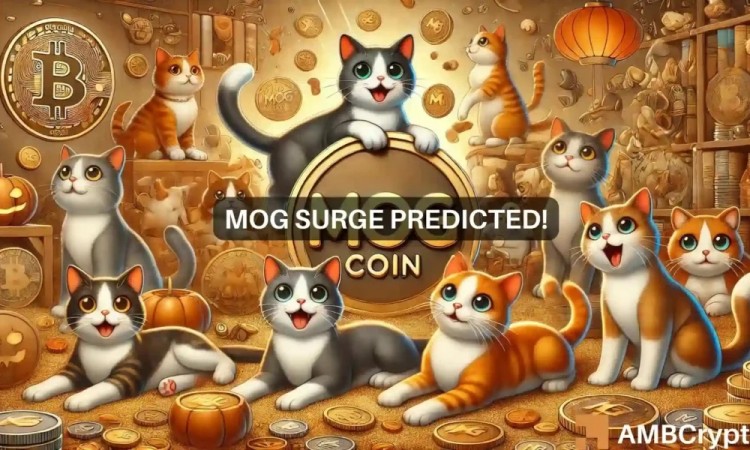 Mog Coin價(jià)格迅速恢復(fù)