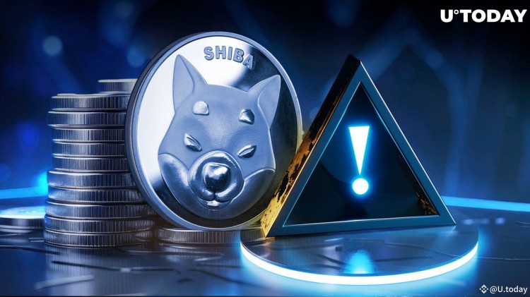 SHIB 最高開發(fā)人員向柴犬軍隊發(fā)出重要警告