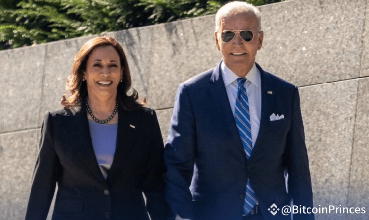 預(yù)計將競選總統(tǒng)的卡馬拉·哈里斯 (Kamala Harris) 對加密貨幣有何看法？