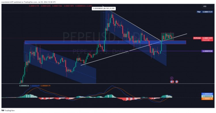過去一周PEPE一直在盤整同時遵循關鍵支撐位79的PEPE持有者獲利其中72
