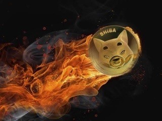 SHIBURN的研究人員報告說在過去的24小時內(nèi)從流通股票中查獲的SHIB模因硬幣的數(shù)量顯著增