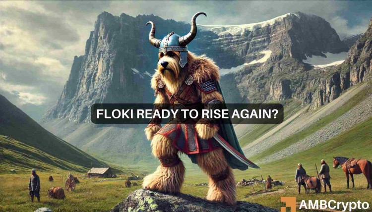 在市場(chǎng)頂級(jí)迷因幣中，F(xiàn)loki Inu