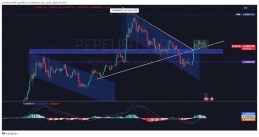 PEPE集會：信任memcoin，PEPE合并關鍵支持水平