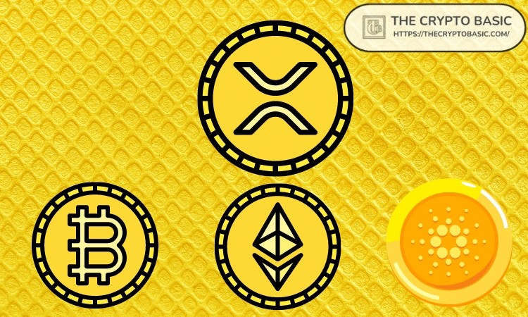 XRP超越比特幣和以太坊有望上漲25出乎意料的是XRP已成為加密貨幣市場的佼佼