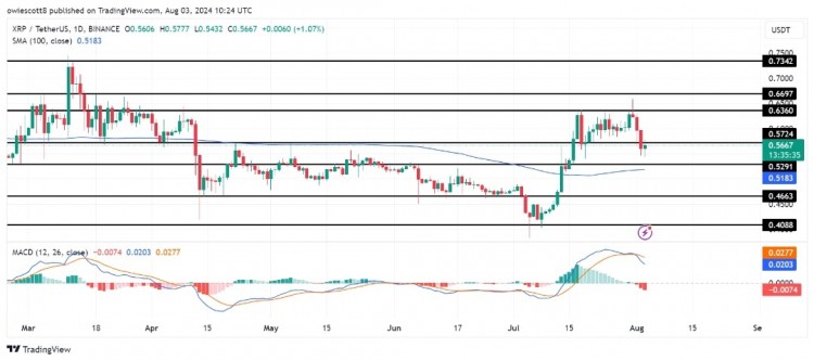 XRP的價格