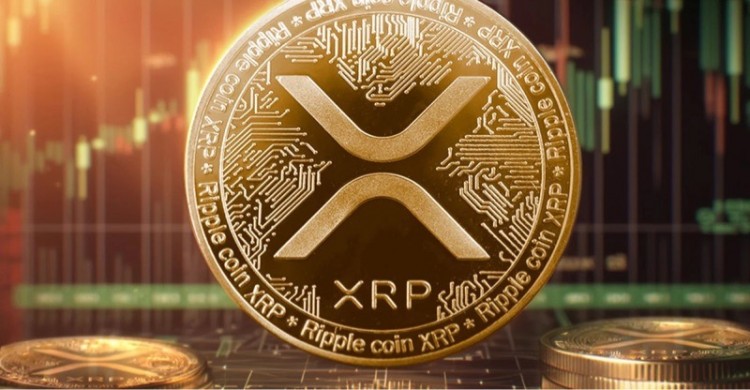 市場大幅下跌但目前還不清楚牛市是否會繼續(xù)XRP失敗了在觸及065美元的門檻后X