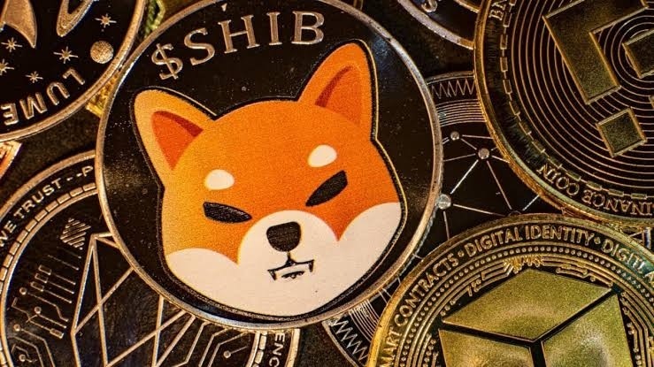 柴犬失去了一些優(yōu)勢柴犬一直在努力讓自己變得更好但事情變得越來越不穩(wěn)定